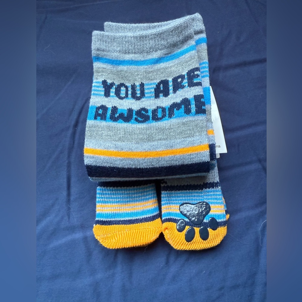 Doggy and Human 'You Are Awesome' Socks